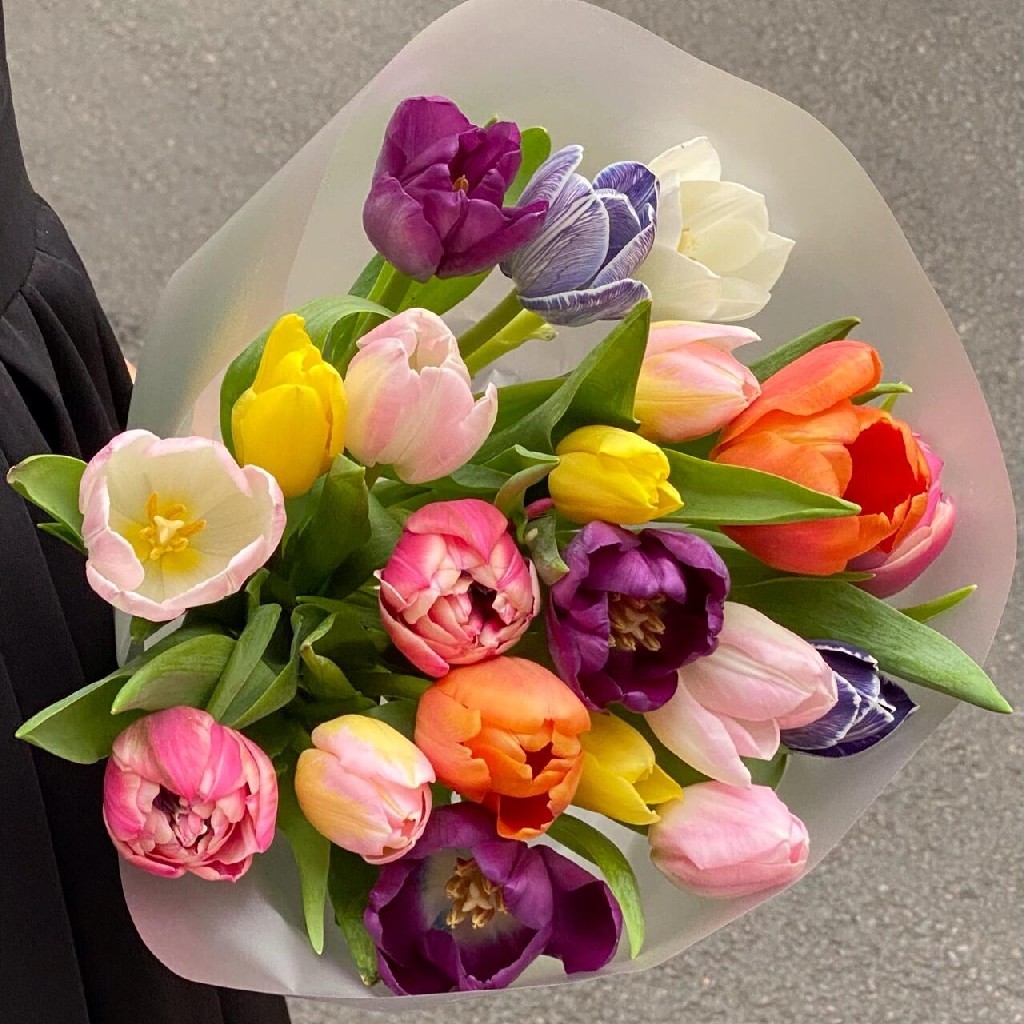 【混色郁金香】10支/份+送白色塑料花瓶1个（不少于2个颜色）(花材长约30-35cm）