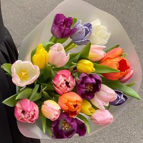 【混色郁金香】10支/份+送白色塑料花瓶1个（不少于2个颜色）(花材长约30-35cm）