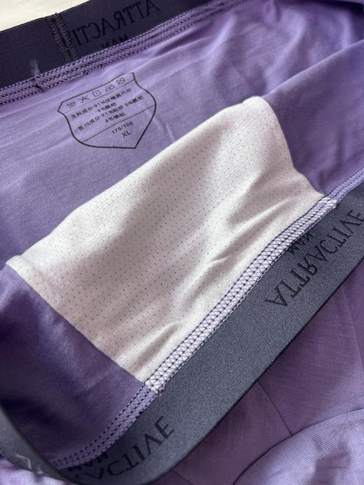 迪兰多莫代尔棉四角内裤亲肤舒适22805811 商品图5