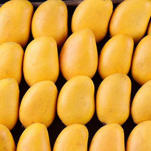 【海南小台农芒果】 当季水果 整箱发货 收到请催熟 商品图8