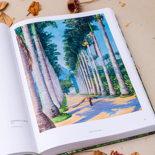 《花朵与探险2：玛丽安娜·诺斯的旅行回忆》英国皇家植物园邱园官方授权 余天一翻译  中国国家地理 -分销-分销 商品图5