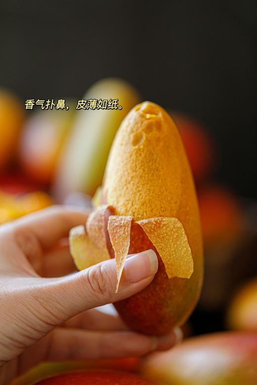 预售5天左右发货【海南树上熟贵妃芒🥭】 商品图3