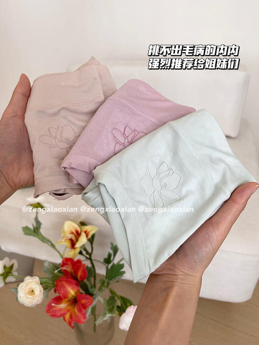 <曾小咸推荐> 莫代尔5A加长裆三角裤 【贴身衣物不退不换】 商品图7