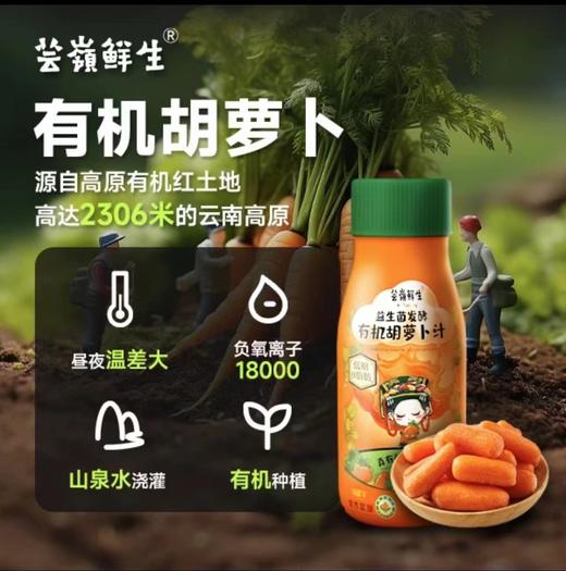 芸岭益生菌发酵有机胡萝卜汁（低糖）230g*10瓶 商品图4