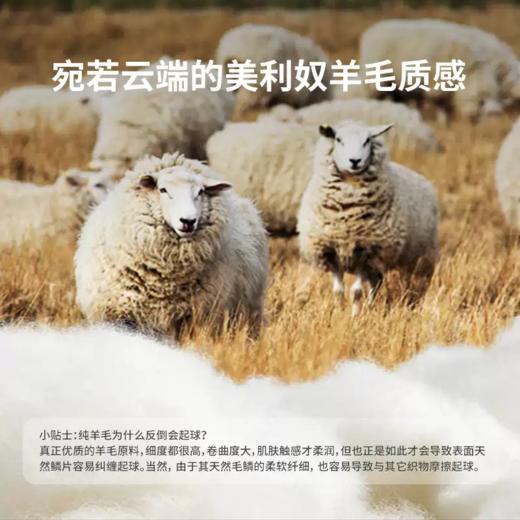 戴适 羊毛内层 防水手套 Dexshell DG12402 ThermFit 3.0 商品图1