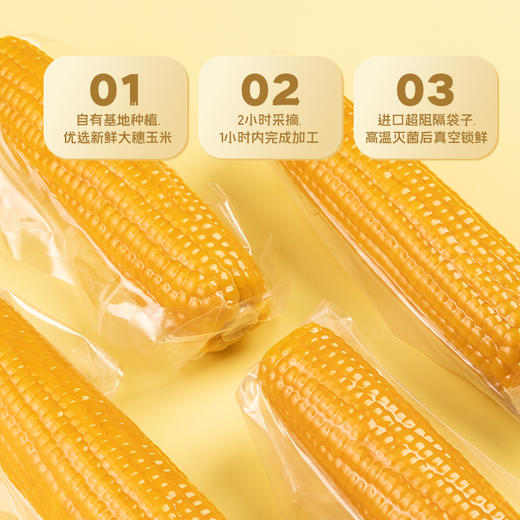 燕之坊 有机黄糯玉米礼盒 8根/盒 商品图2