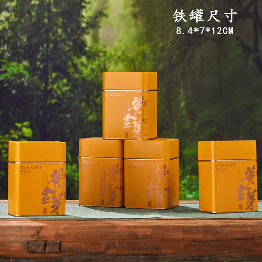 頭采【金黄.5听黄金芽半斤装-3.0】35元1套.共2套.(尾货礼盒满10套包邮，保证质量） 商品图6