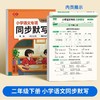 2025年小学【语数英专项学习】同步训练小学语文数学英语默写计算专项 商品缩略图1