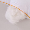【国民品牌】浪莎磨毛玻尿酸三防枕芯 A类母婴 吸湿透气 轻柔绵软 一对装 商品缩略图7
