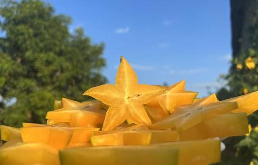 合作产品/ 生态杨桃 云南.元江 商品图2