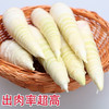 【一寸阳光】 临安天目山春笋（京东快递） 商品缩略图1