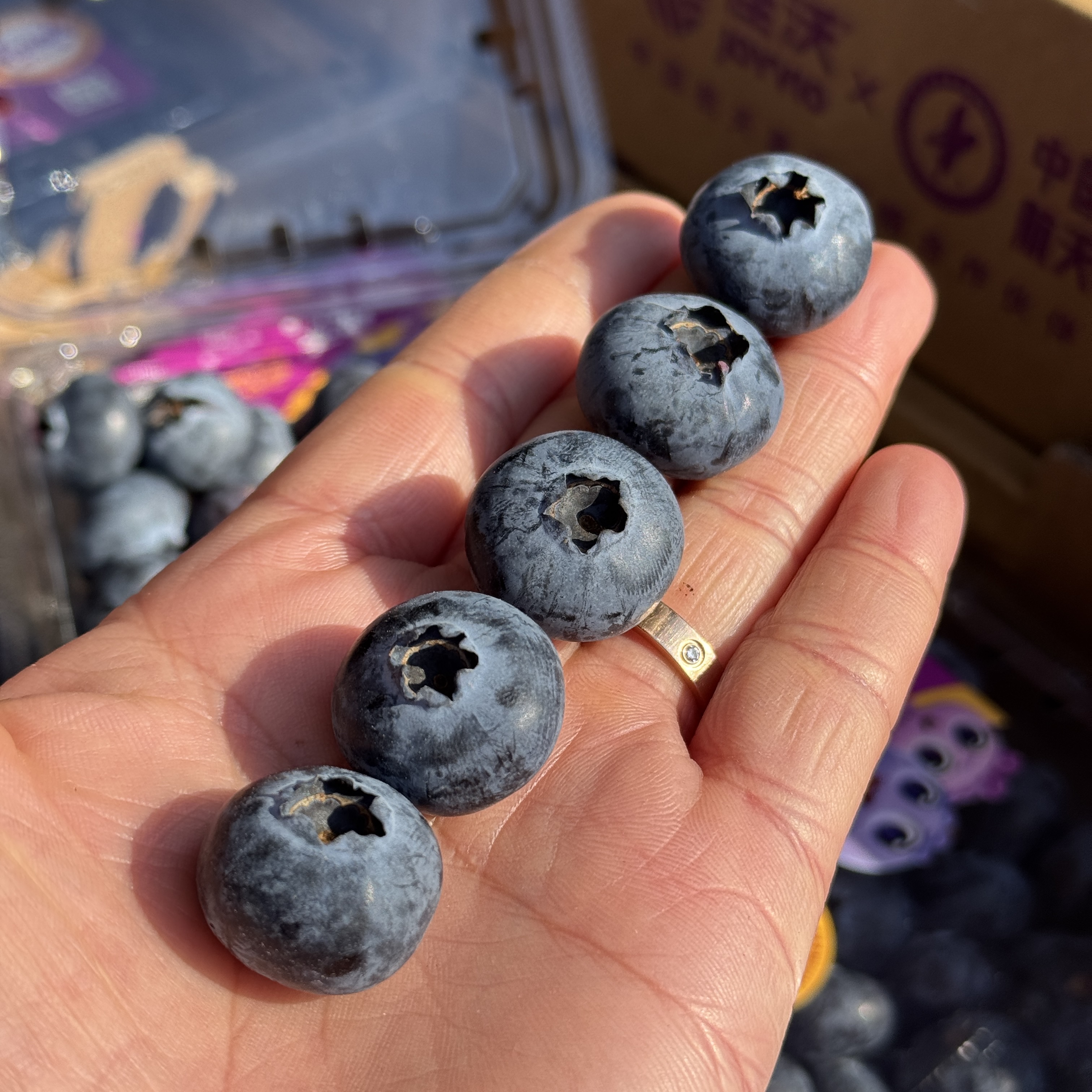 佳沃花香18+大蓝莓