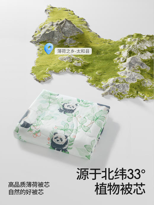 贝肽斯凉感被 商品图2