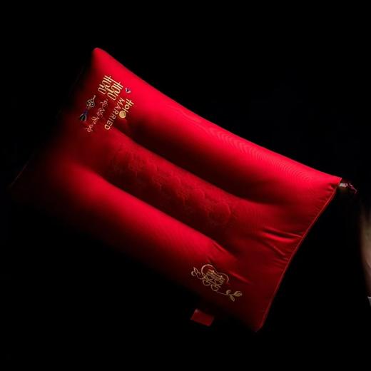 大喜婚庆全棉枕芯结婚陪嫁送礼家用枕G114800034 商品图0