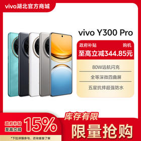 vivo Y300 Pro【国家补贴】
