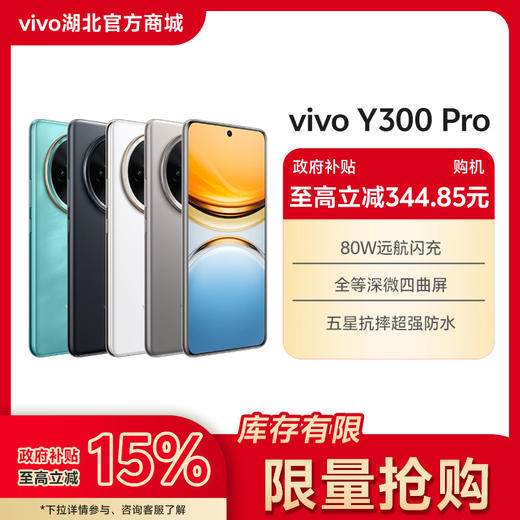 vivo Y300 Pro【国家补贴】 商品图0
