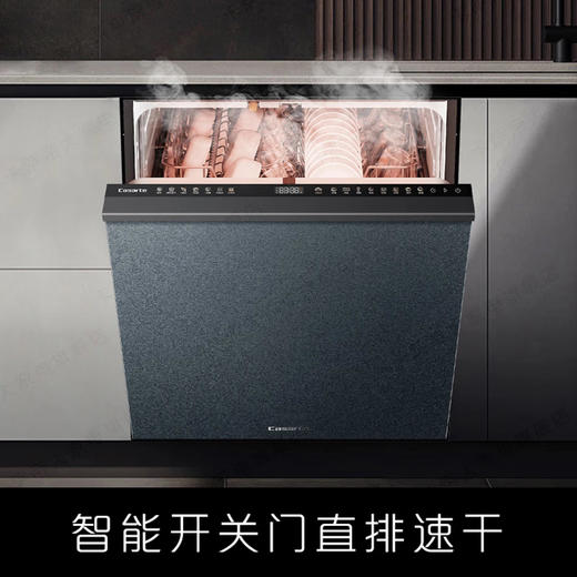 卡萨帝洗碗机（CWY16-B29SU1） 商品图5