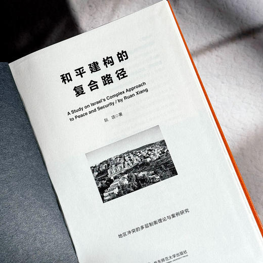 和平建构的复合路径 政治学学术专著 地缘政治 和平与安全战略 商品图5