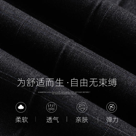 圣得西男士商务格纹西裤青年男2025秋季新款英伦风高级轻奢直筒裤 商品图3