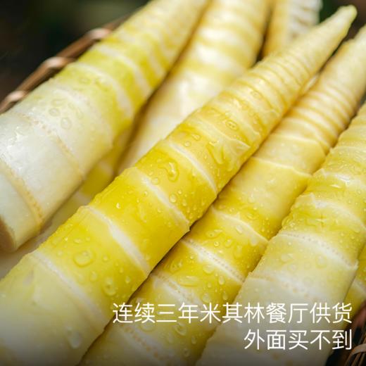 饱记·临安天目山雷笋带壳春笋4斤装2026年京东发货 商品图0