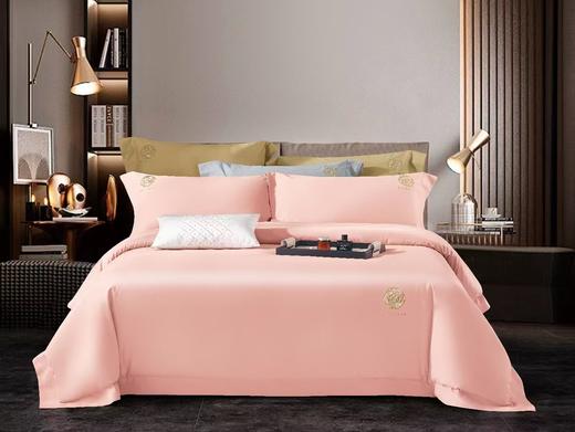 宜庭  长绒棉磨毛四件套 商品图1