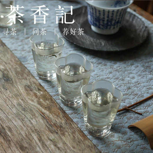 茶香记 青毫白毫银针020福鼎白茶管阳高山茶园明前头采炭焙工艺仓储到位 商品图5