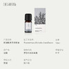 （周五会员福利）桉油醇迷迭香精油 商品缩略图1
