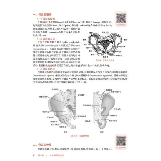 助产学 第3版 十四五规划教材全国高等职业教育专科教材 供助产专业用 王玉 崔萱主编 人民卫生出版社9787117366830 商品图4
