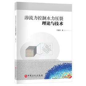 渗流力控制水力压裂理论与技术 石油-渗流力-压裂-非常规油气