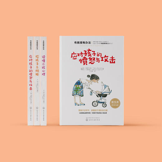 《布教授有办法》（全3册） 商品图2