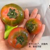 🍅童年的洋柿子 · 黛安娜 ·  酸甜回甘 · 香味巨巨巨浓郁  🈚️激素 🈚️膨大剂  顺丰到家 商品缩略图1