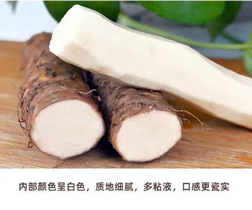 河南焦作铁棍山药5斤/箱 商品图4