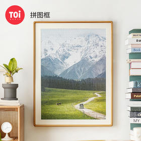 TOI图益定制平面相框系列（线上专供）【15天内发货】