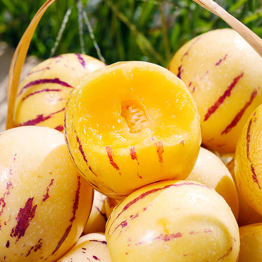 【鲜泽园】云南人参果 商品图4