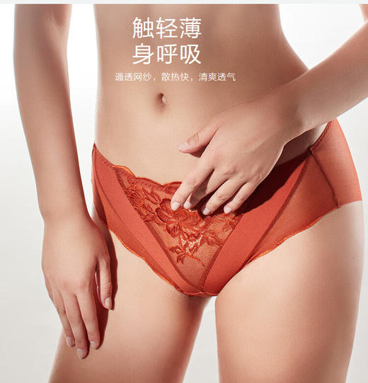 【3F】安莉芳网纱薄款内裤女性感无痕低腰三角裤E200530 商品图5