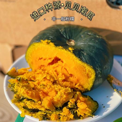 【贝贝南瓜】自家种植的日本原种黑绿小胖墩，晒足365天太阳，施有机肥，种出的【贝贝南瓜】瓜肉干香绵密，蒸熟自带南瓜香！吃起来粉糯香甜！没有纤维感，肉质细腻! 商品图2