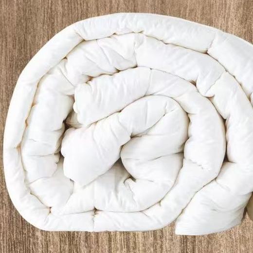 澳洲原装进口羊毛被200*230 250g 商品图1