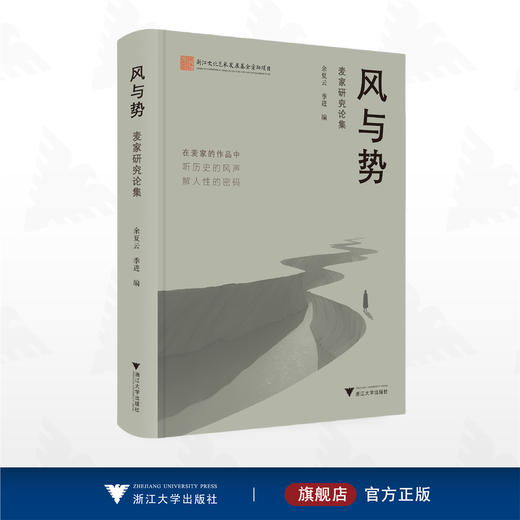 风与势：麦家研究论集/浙江文化艺术发展基金资助项目/余夏云/季进/浙江大学出版社 商品图0
