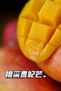 预售5天左右发货【海南树上熟贵妃芒🥭】 商品缩略图4