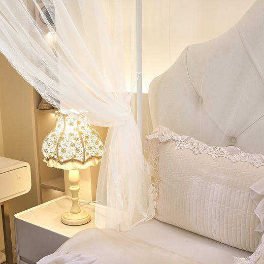 自然醒蚊帐家用卧室宫廷落地蚊帐三开门不锈钢四立柱防蚊防尘遮光顶家用清新2505HH 商品图13