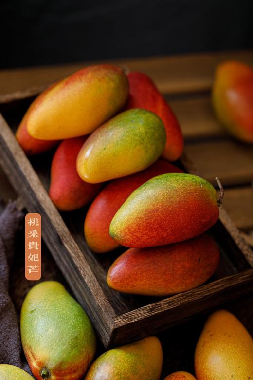 预售5天左右发货【海南树上熟贵妃芒🥭】 商品图0