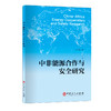 中非能源合作与安全研究 商品缩略图0