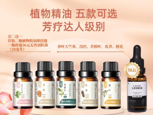 菜头商城 植物精油芳疗达人级（5款可选）任购二瓶即赠一瓶无香润肤油（20毫升） 商品图0