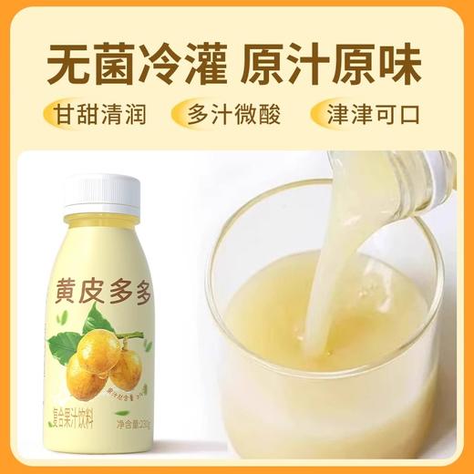 【分仓直发包邮】纯粒黄皮多多230g*10瓶 商品图3