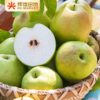 山西隰县玉露香梨4.5斤装/8.5斤装 商品缩略图3