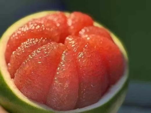 【进口】泰国红宝石柚＃ 柚子类的天花板，肉质非常细腻柔软 简直到了入口即化的感觉了 吃过一口就种草了 商品图1