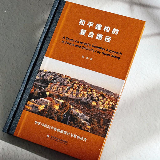 和平建构的复合路径 政治学学术专著 地缘政治 和平与安全战略 商品图4