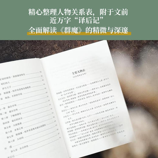 【陀思妥耶夫斯基精选集】群魔 （陀思妥耶夫斯基巅峰代表作；李春雨俄文直译，全译本无删节；附赠刘文飞教授音频导读；备受法国作家加缪推崇，被改编为同名戏剧） 商品图3