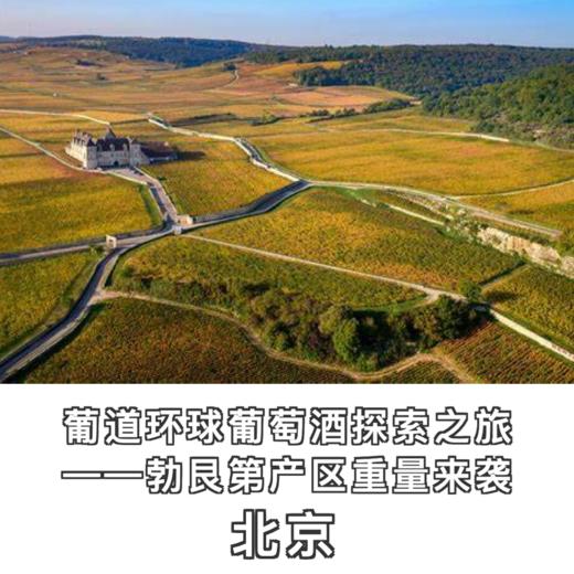【2025.03.07 北京门票 CBD Ticket】葡道环球葡萄酒探索之｜勃艮第产区重量来袭 商品图0