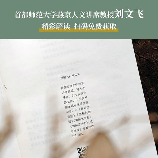 【陀思妥耶夫斯基精选集】群魔 （陀思妥耶夫斯基巅峰代表作；李春雨俄文直译，全译本无删节；附赠刘文飞教授音频导读；备受法国作家加缪推崇，被改编为同名戏剧） 商品图4